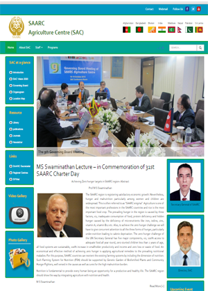 Web Desing Firm in Bangladesh